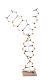 DNA - RNA Model