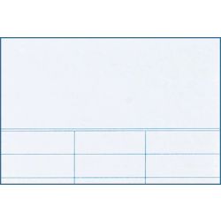 Blank Book Cards Pack Of 100