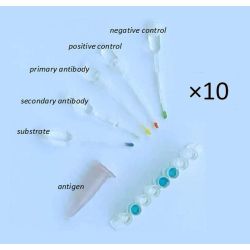 Simulated ELISA Kit