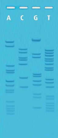 Ready-To-Load DNA Sequencing