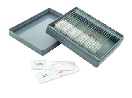 A set of 25, prepared microscope slides for schools