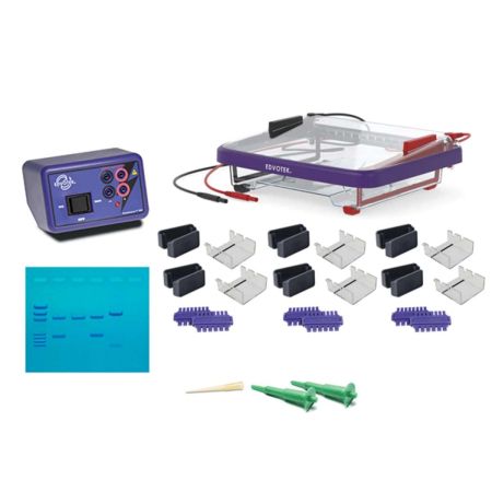 Edvotek Classroom DNA Electrophoresis LabStation�