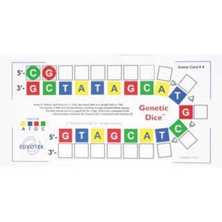 Molecular Biology, Classroom Game