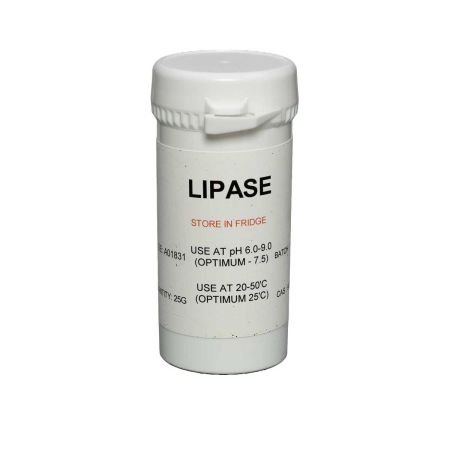 Lipase