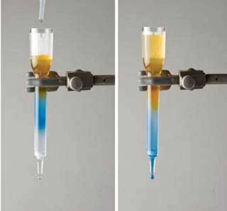 Principles of Gel Filtration Chromatography Kit