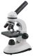 BMS 036 LED Basic Microscope