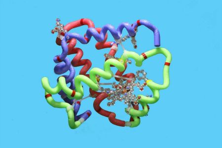 Beta Globin Folding Kit