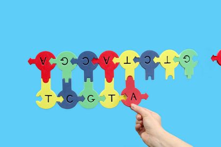 Demo DNA Nucleotides