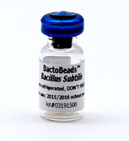 Bactobeads: Bacillus Subtillis