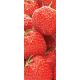 Scratch-and-Sniff Bookmark Strawberry Pk/100