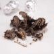 Owl Pellets, Pack 10