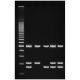 Edvotek� Identification of Genetically Modified Foods Using PCR Kit