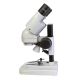 BMS S-05-L stereomicroscope for schools