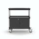 School science laboratory trolley with lockable cupboard