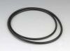 Van De Graaff Generator, Premium, Spare Drive Belt