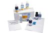 Gram Staining Kit