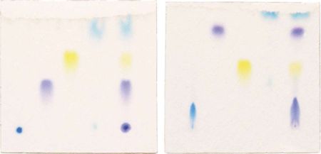 Principles of Thin Layer Chromatography Kit