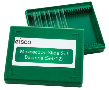 Microscope Slide Set, Bacteria, Set 12