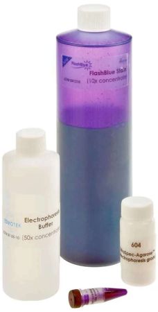 Electrophoresis Reagent Package W/Flashblue� Stain