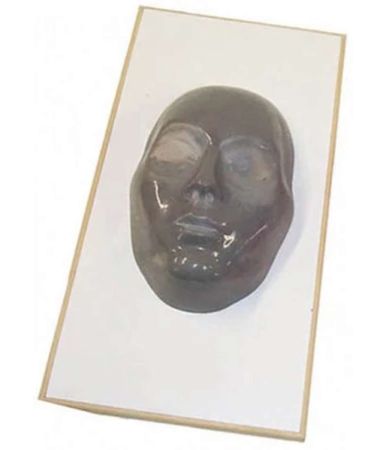 Face Mask Mould