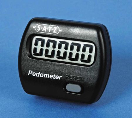 School Pedometer