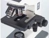 Motic B1-220E-SP Binocular Microscope