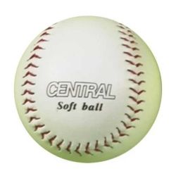 Central Training Softball