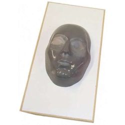 Face Mask Mould