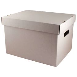 Large Record Archival Storage Box