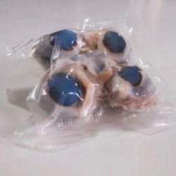 Preserved Sheep Eyes, Pack 25