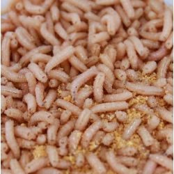 Blowfly Maggots, Approx. 100