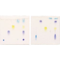 Principles of Thin Layer Chromatography Kit