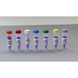 Genetic Disease Screening Kit