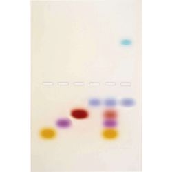 Principles & Practice of Agarose Gel Electrophoresis Kit