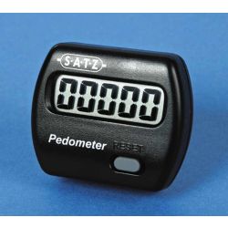 School Pedometer