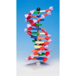 Mini DNA® Molecular Model Kit, 12 Layer