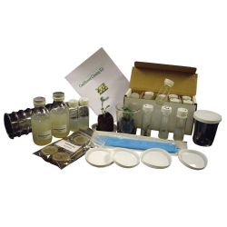 Cauliflower Cloning Kit