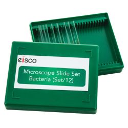 Microscope Slide Set, Bacteria, Set 12