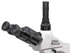 BMS D2-223SP 1000X Trino Microscope