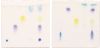Principles of Thin Layer Chromatography Kit