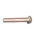 Round Head Alloy Rivet 25 x 3mm