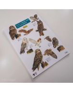 Owl & Owl Pellet Guide