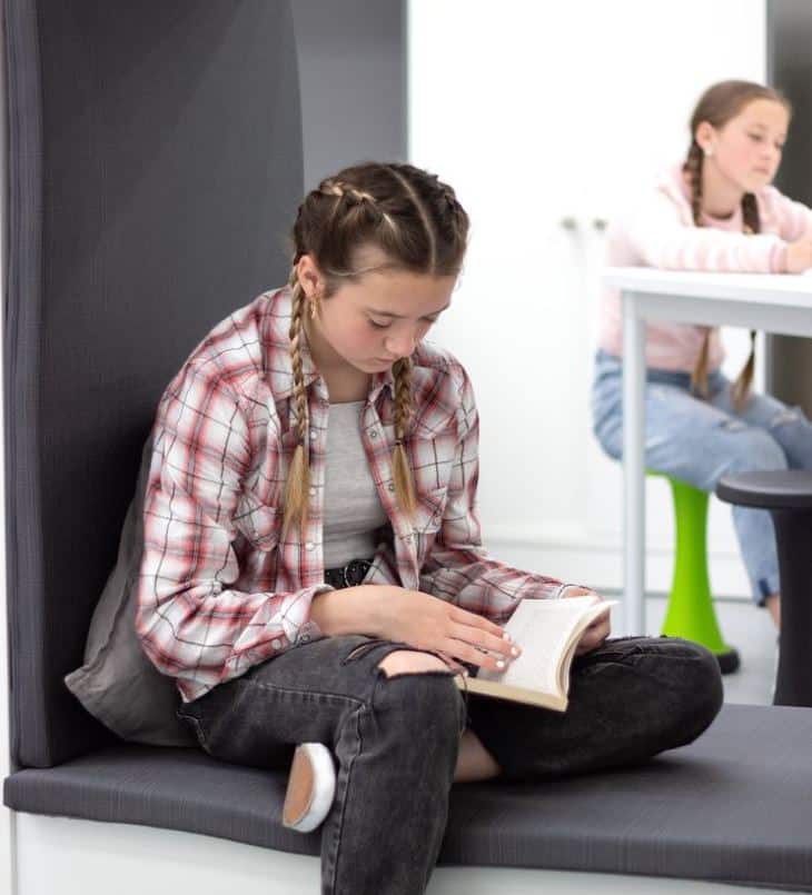 Supportive Environments for Teen Literacy